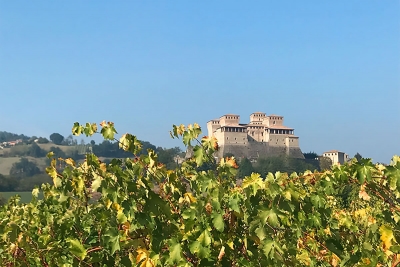 Wine cellars in Parma