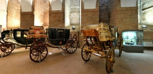 I Musei civici: tra antichi fegati e carrozze