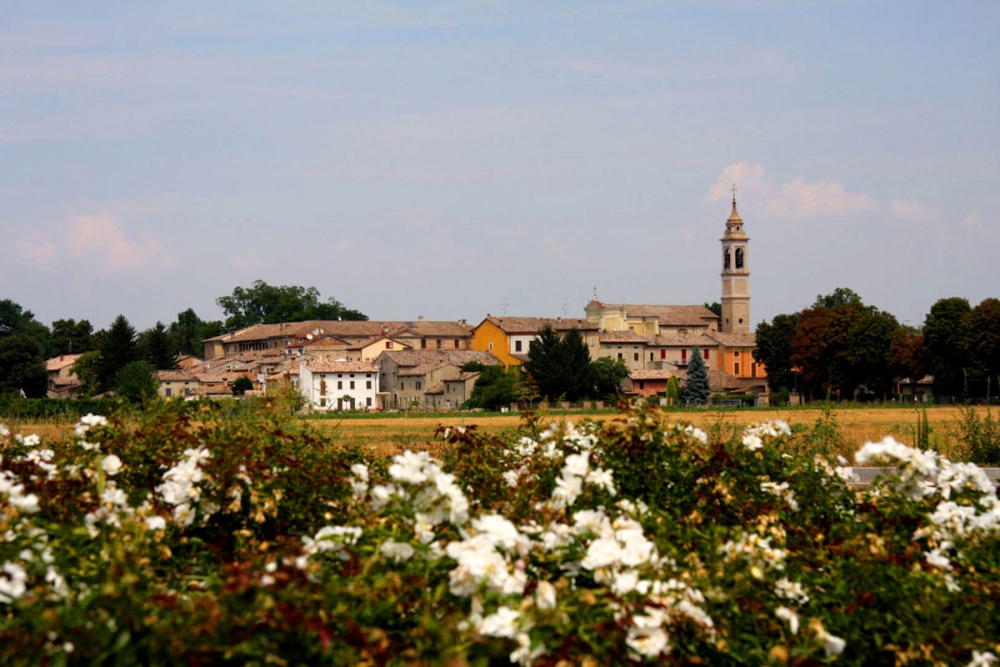 La “Bassa” tra rocche e prelibatezze